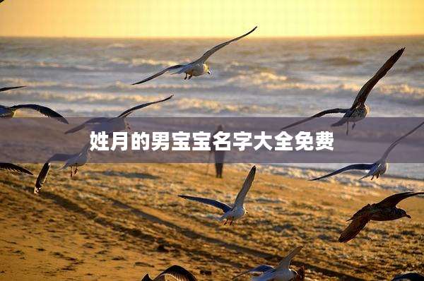 姓月的男宝宝名字大全免费
