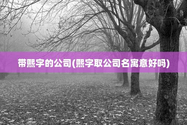 带熙字的公司(熙字取公司名寓意好吗)