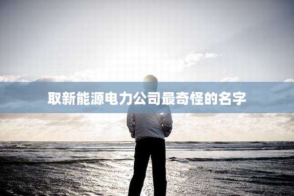 取新能源电力公司最奇怪的名字
