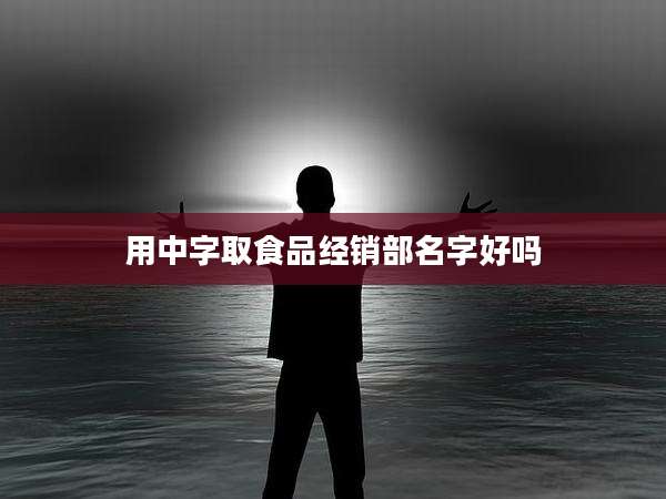 用中字取食品经销部名字好吗