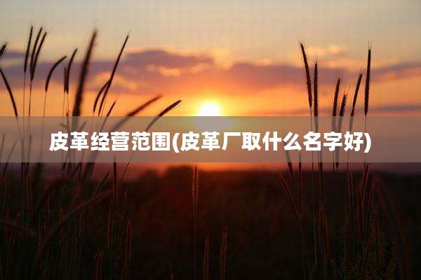 皮革经营范围(皮革厂取什么名字好)