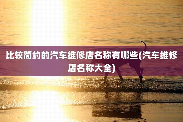 比较简约的汽车维修店名称有哪些(汽车维修店名称大全)
