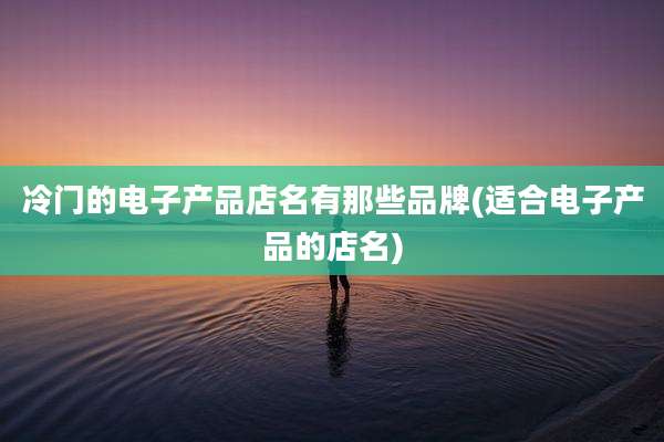 冷门的电子产品店名有那些品牌(适合电子产品的店名)