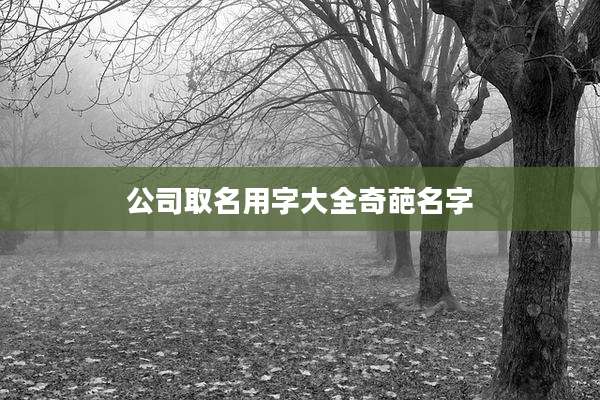 公司取名用字大全奇葩名字