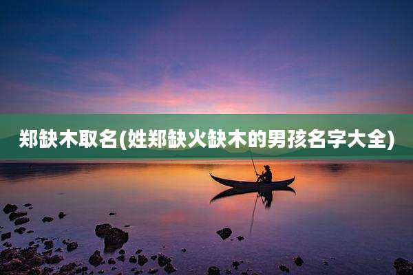 郑缺木取名(姓郑缺火缺木的男孩名字大全)