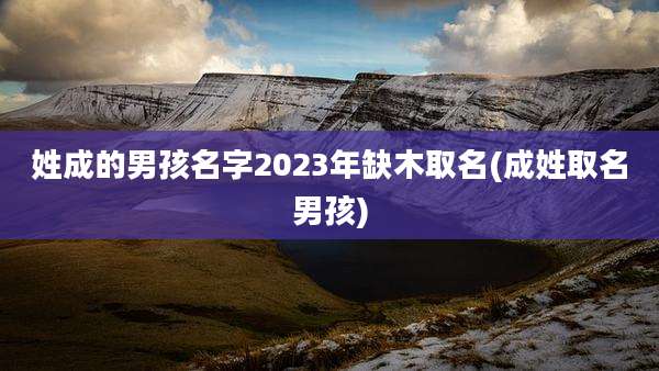 姓成的男孩名字2023年缺木取名(成姓取名男孩)