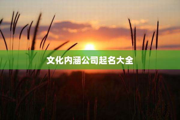 文化内涵公司起名大全