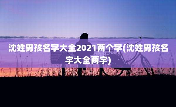 沈姓男孩名字大全2021两个字(沈姓男孩名字大全两字)