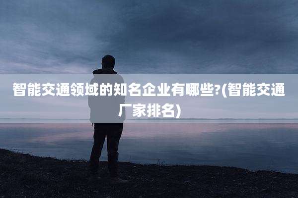 智能交通领域的知名企业有哪些?(智能交通厂家排名)