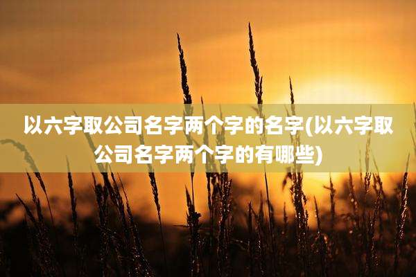 以六字取公司名字两个字的名字(以六字取公司名字两个字的有哪些)
