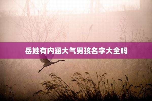 岳姓有内涵大气男孩名字大全吗