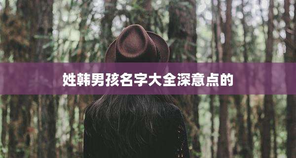 姓韩男孩名字大全深意点的