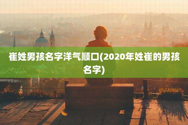 崔姓男孩名字洋气顺口(2020年姓崔的男孩名字)