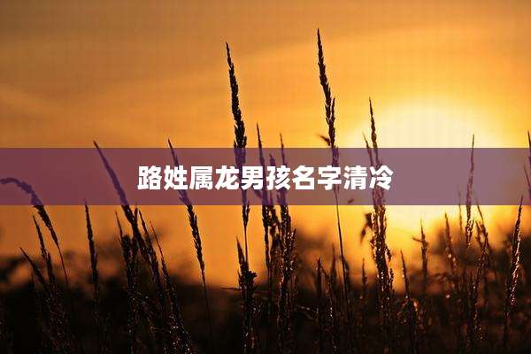路姓属龙男孩名字清冷