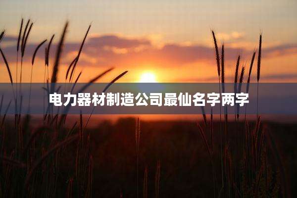 电力器材制造公司最仙名字两字