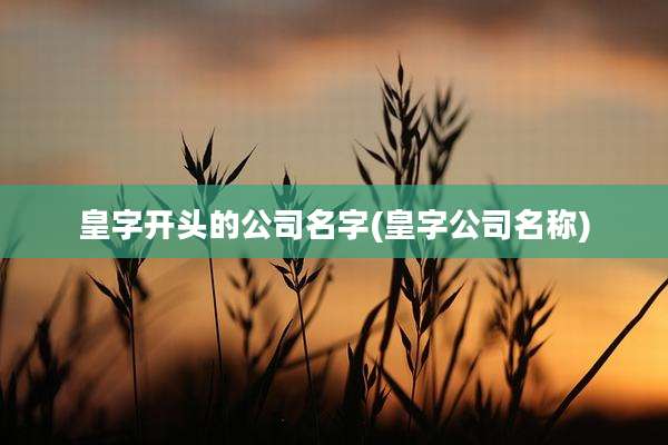 皇字开头的公司名字(皇字公司名称)