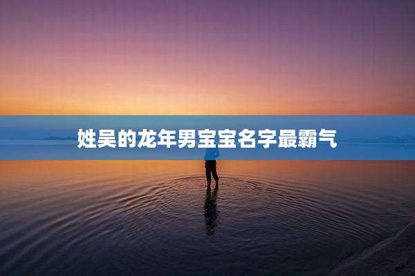姓吴的龙年男宝宝名字最霸气