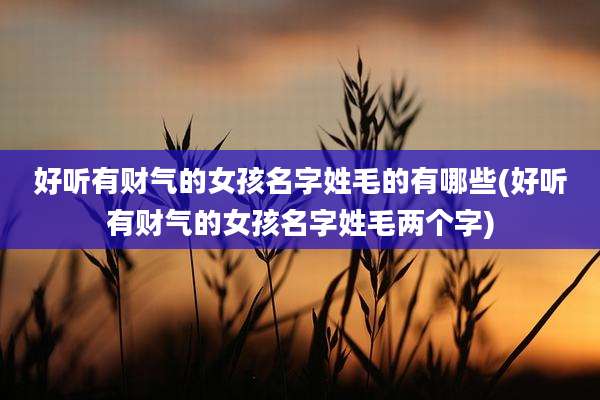 好听有财气的女孩名字姓毛的有哪些(好听有财气的女孩名字姓毛两个字)