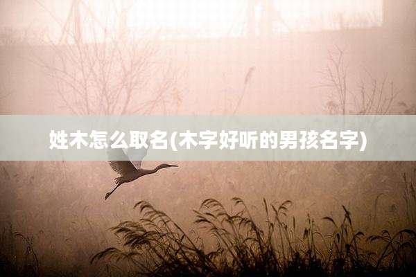 姓木怎么取名(木字好听的男孩名字)