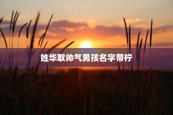姓华取帅气男孩名字带柠