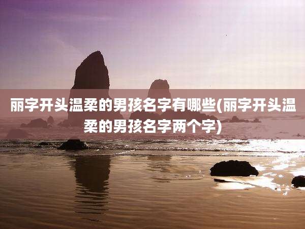 丽字开头温柔的男孩名字有哪些(丽字开头温柔的男孩名字两个字)