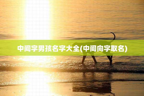 中间字男孩名字大全(中间向字取名)