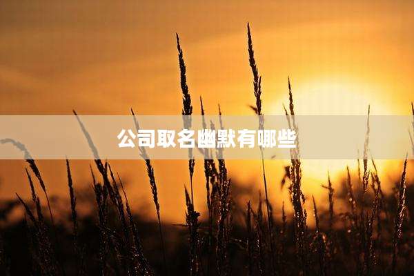 公司取名幽默有哪些