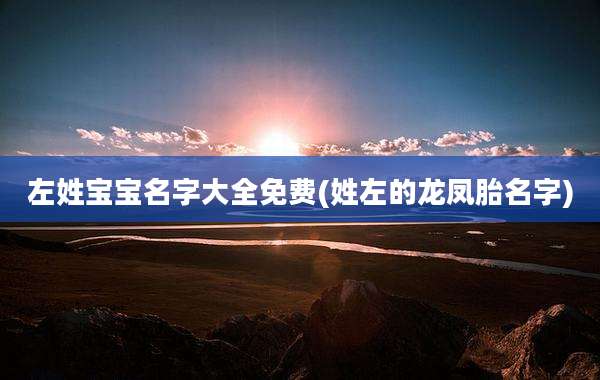 左姓宝宝名字大全免费(姓左的龙凤胎名字)