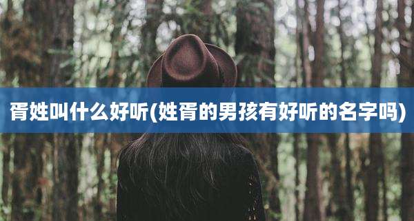 胥姓叫什么好听(姓胥的男孩有好听的名字吗)