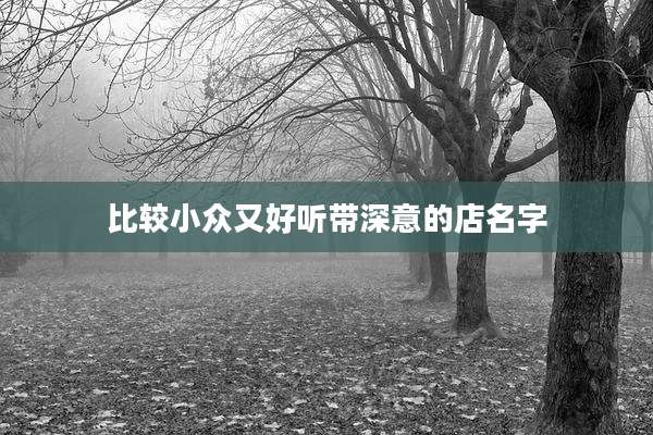 比较小众又好听带深意的店名字