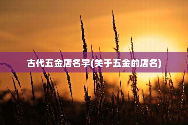 古代五金店名字(关于五金的店名)
