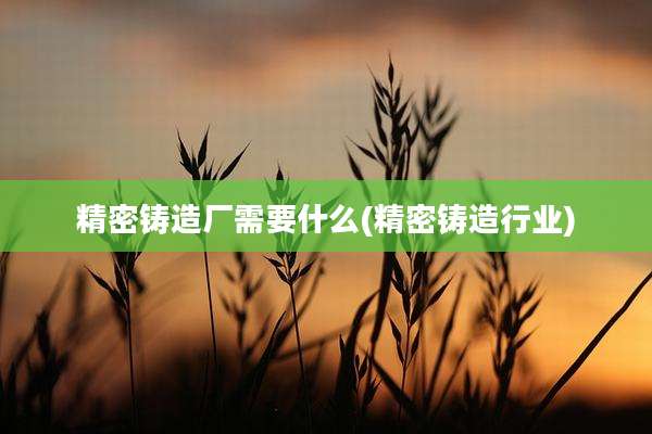 精密铸造厂需要什么(精密铸造行业)