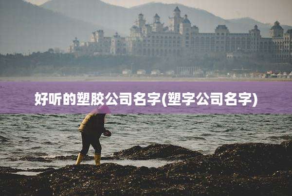 好听的塑胶公司名字(塑字公司名字)