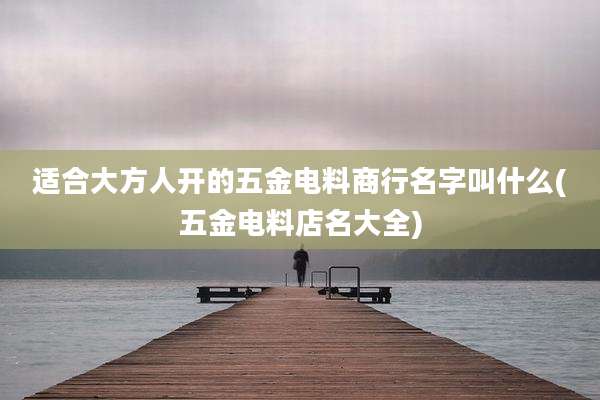 适合大方人开的五金电料商行名字叫什么(五金电料店名大全)