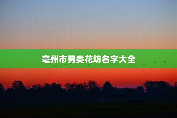亳州市另类花坊名字大全