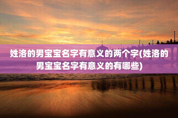 姓洛的男宝宝名字有意义的两个字(姓洛的男宝宝名字有意义的有哪些)