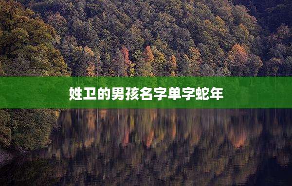 姓卫的男孩名字单字蛇年