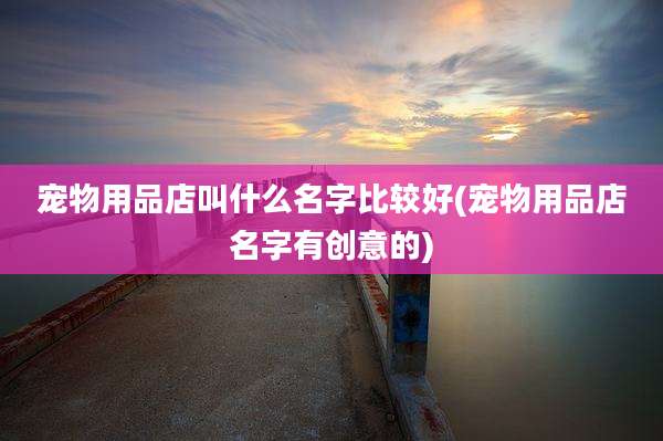 宠物用品店叫什么名字比较好(宠物用品店名字有创意的)
