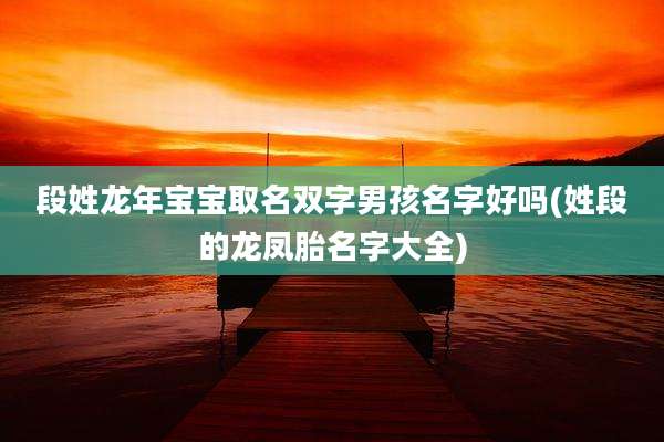 段姓龙年宝宝取名双字男孩名字好吗(姓段的龙凤胎名字大全)