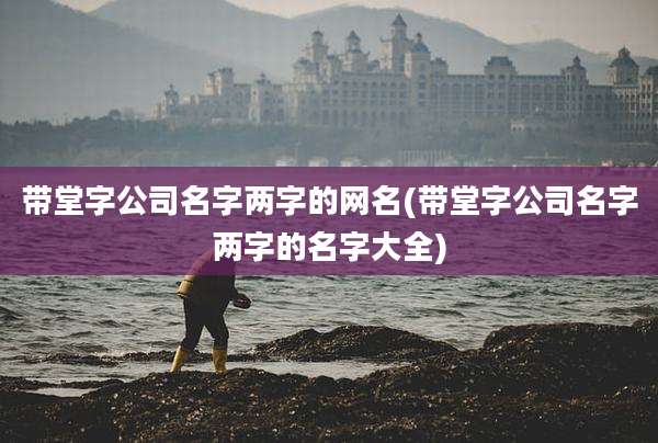 带堂字公司名字两字的网名(带堂字公司名字两字的名字大全)