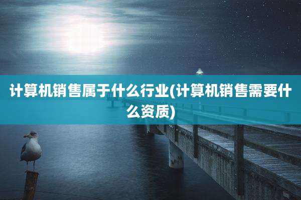 计算机销售属于什么行业(计算机销售需要什么资质)
