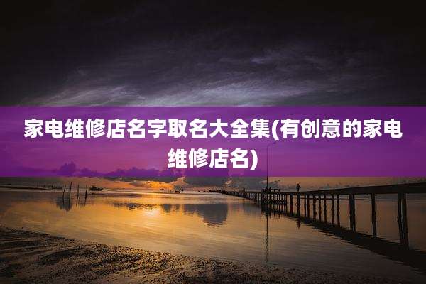 家电维修店名字取名大全集(有创意的家电维修店名)