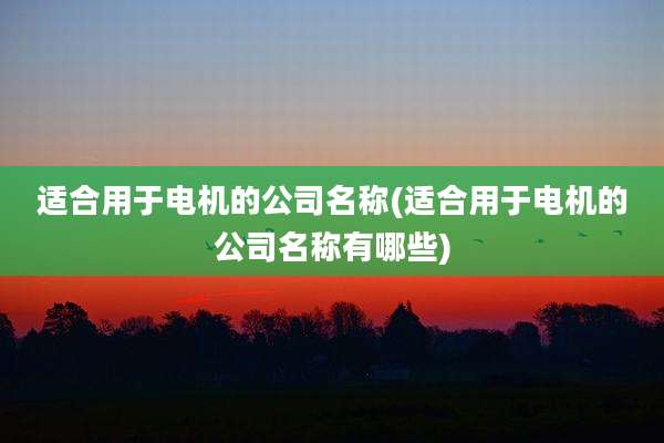 适合用于电机的公司名称(适合用于电机的公司名称有哪些)