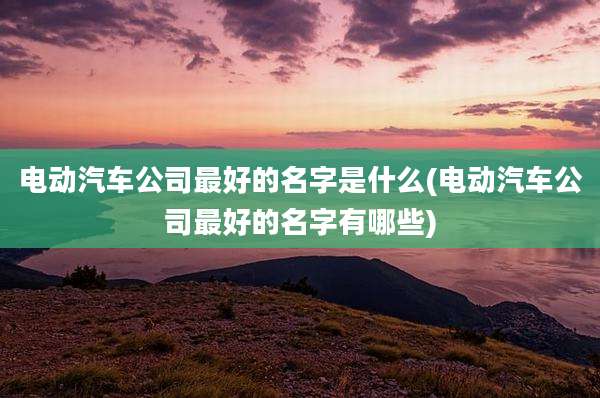 电动汽车公司最好的名字是什么(电动汽车公司最好的名字有哪些)