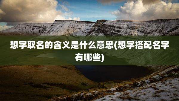 想字取名的含义是什么意思(想字搭配名字有哪些)