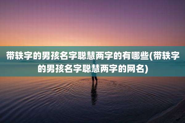 带轶字的男孩名字聪慧两字的有哪些(带轶字的男孩名字聪慧两字的网名)