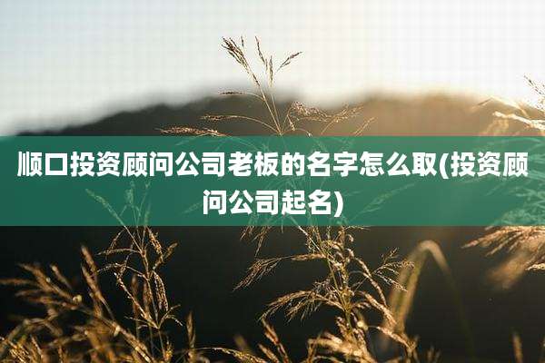 顺口投资顾问公司老板的名字怎么取(投资顾问公司起名)