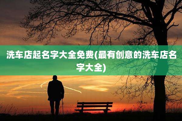 洗车店起名字大全免费(最有创意的洗车店名字大全)
