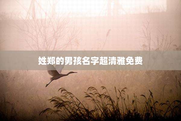 姓郑的男孩名字超清雅免费