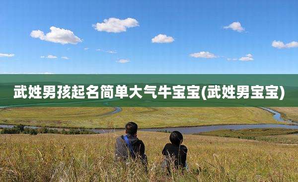 武姓男孩起名简单大气牛宝宝(武姓男宝宝)